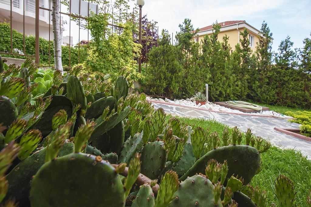 Jbh Hotel Sveti Vlas Luaran gambar